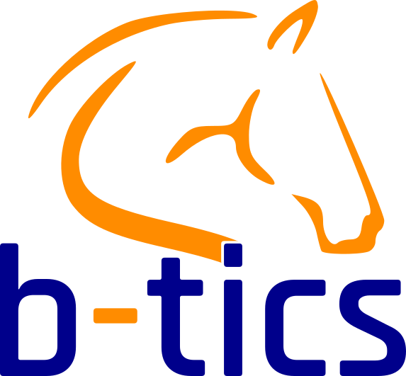 Logo BTICS